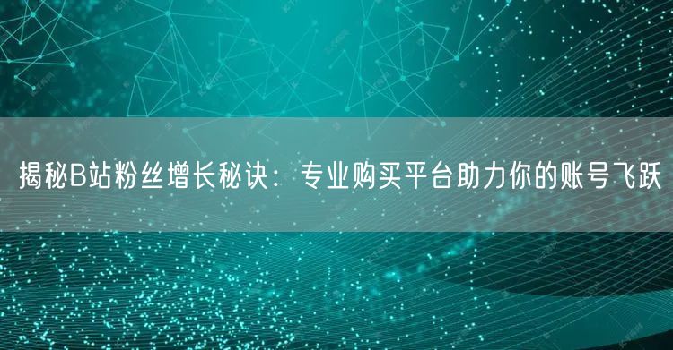 揭秘B站粉丝增长秘诀：专业购买平台助力你的账号飞跃