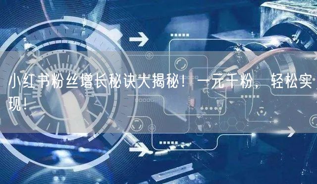 小红书粉丝增长秘诀大揭秘！一元千粉，轻松实现！
