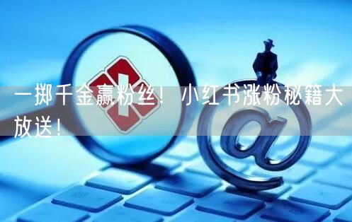 一掷千金赢粉丝！小红书涨粉秘籍大放送！