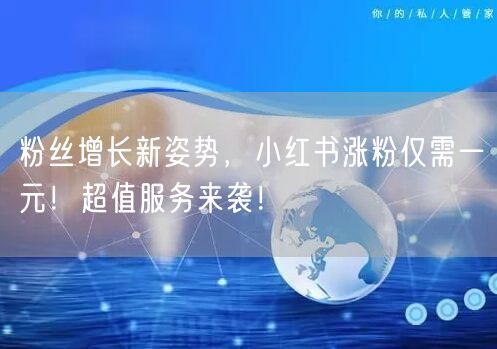 粉丝增长新姿势，小红书涨粉仅需一元！超值服务来袭！