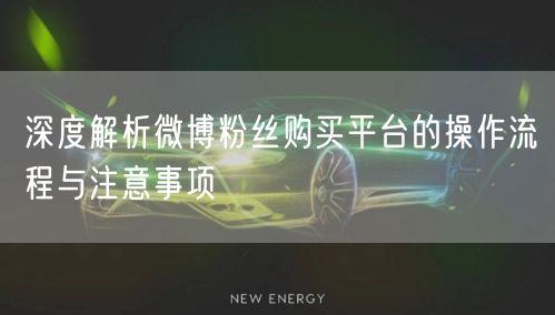 深度解析微博粉丝购买平台的操作流程与注意事项