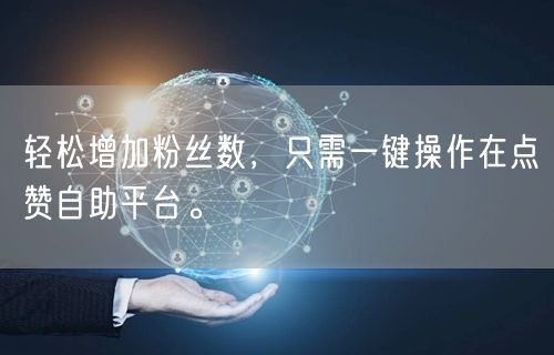 轻松增加粉丝数，只需一键操作在点赞自助平台。