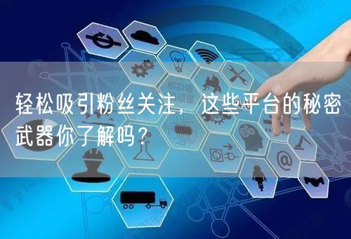 轻松吸引粉丝关注，这些平台的秘密武器你了解吗？